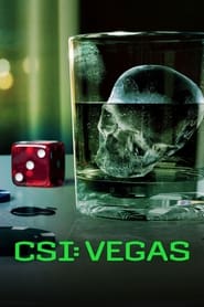 CSI: Vegas Season 3