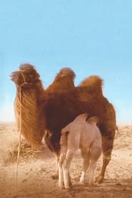 The Story of the Weeping Camel постер