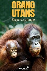 Orang Utans - Keepers of the Jungle (2025)