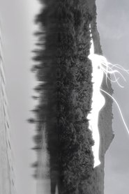 Poster Umbilical Cord to Heaven 2020