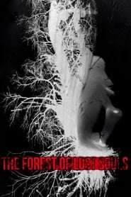 The Forest of the Lost Souls постер