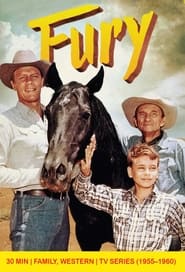 Fury poster