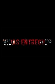 Poster Vidas Entregues 2019