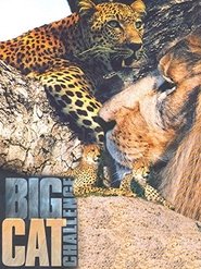 Poster Big Cat Challenge 2003