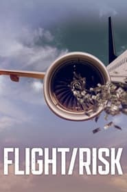 Download Flight/Risk (2022) {English With Subtitles} Web-DL 720p [800MB] || 1080p [1.9GB]