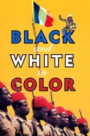 Poster Black and White in Color 1976