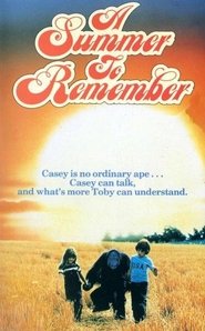 Poster A Summer to Remember 1985