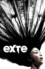 Poster Exte: Hair Extensions 2007
