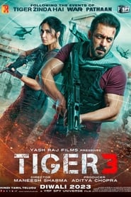 Poster Tiger 3