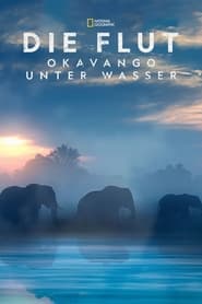 Poster Die Flut - Okavango unter Wasser