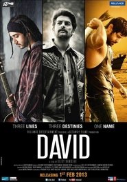 David poster