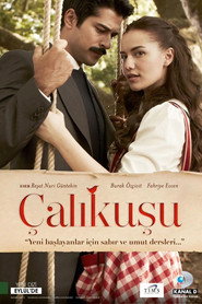 Корольок - пташка співоча постер