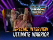 January 12, 1991 - Superstars of Wrestling 228