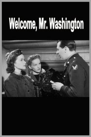 Poster Welcome, Mr Washington