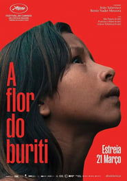 A Flor do Buriti (2024)