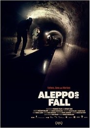 Poster Aleppo's Fall 2017