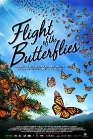 Flight of the Butterflies постер
