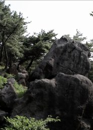 재