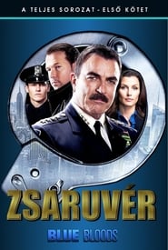 Blue Bloods Season 1 7