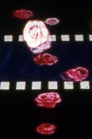 Poster Eclipse Predictions 1982