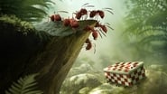 Minuscule - La vallée des fourmis perdues en streaming