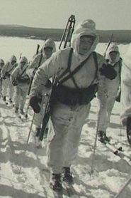 Vi 46,000 1945 Дастрасии бемаҳдуд