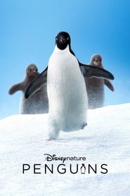 Poster Penguins 2019
