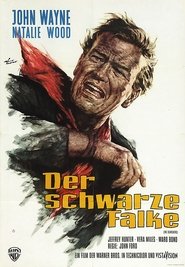 Der schwarze Falke