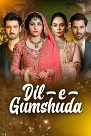 Dil e Gumshuda Episode Rating Graph poster