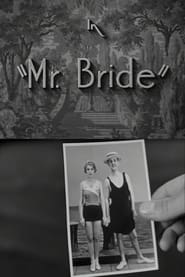 Mr. Bride постер