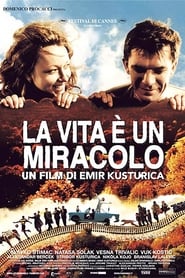 La vita è un miracolo (2004)