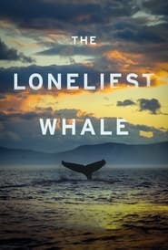 Найсамотніший кит постер
