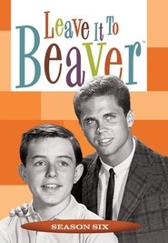 Leave It to Beaver - Season 6 poster