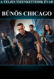 Bűnös Chicago 12. évad plakát