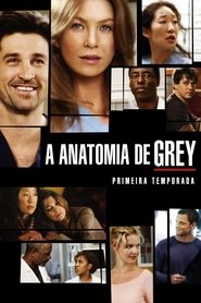Grey's Anatomy - Season 1 Episode 1 : A Hard Day's Night
