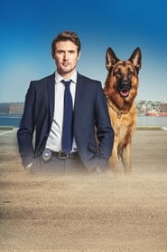 Hudson & Rex Sezonul 6 Episodul 6 Online