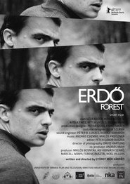 Poster Forest 2011