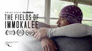 The Fields of Immokalee 1970 Ақысыз шексіз қол жетімділік