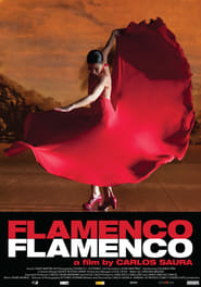 Flamenco, Flamenco постер