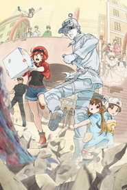 Cells at Work! Cells at Work! 23
