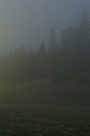 In A Beautiful And Quiet Location