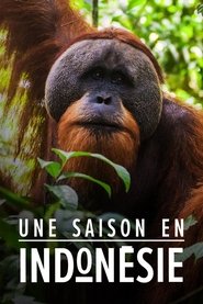 Une saison en Indonésie (2019)