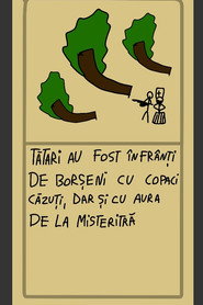 Random robotul din România постер