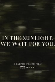 In The Sunlight, We Wait For You. (2020)