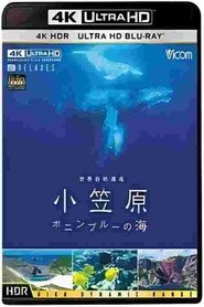 世界自然遺産 小笠原 ~ボニンプル-の海~