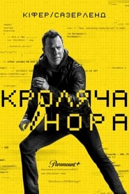 Кроляча нора постер