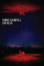 Dreaming Dogs 2024 Бесплатан неограничен приступ