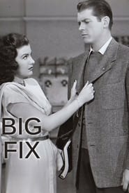 Poster The Big Fix