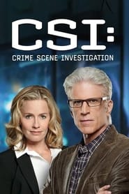 CSI: Місце злочину постер