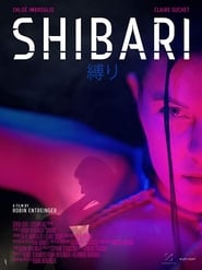 Shibari постер